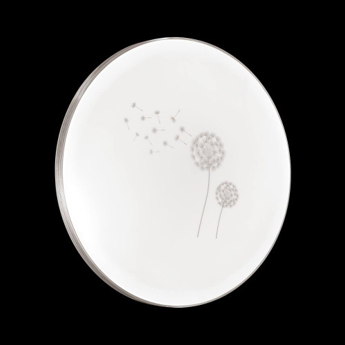 Настенно-потолочный светильник Sonex Airita 3005/EL