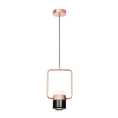 Подвесной светодиодный светильник Loft IT Ling 8118-A