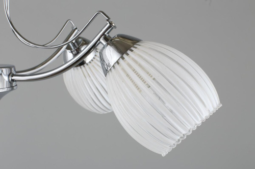 Потолочная люстра Omnilux Calasetta OML-65607-05