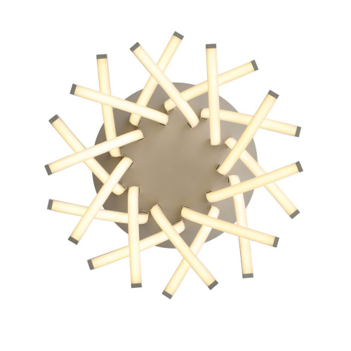 Потолочная светодиодная люстра ST Luce Filiali SL827.502.20