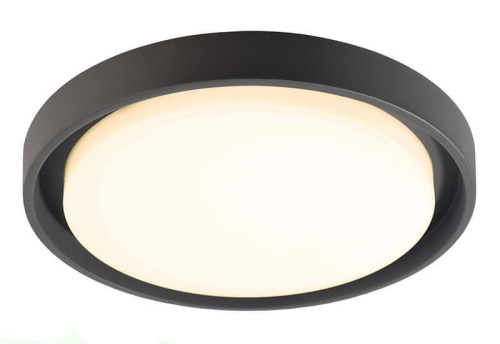 Уличный настенный светильник Deko-Light Ascella 348067