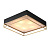 Потолочный светильник ST Luce Chodo SL1127.422.05