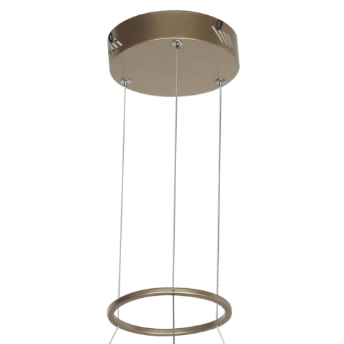 Подвесной светодиодный светильник Favourite Ria 2352-5P