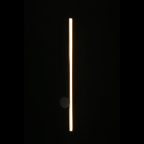 Настенный светодиодный светильник Aployt Beatris APL.056.01.09