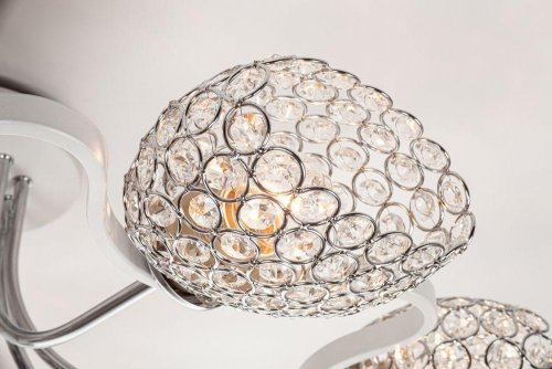 Потолочная люстра Escada 1109/8PL