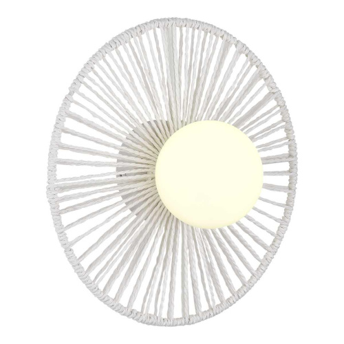 Настенный светильник Evoluce LOOM SLE6022-501-01