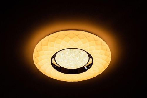 Потолочный светодиодный светильник Escada 10219/S LED