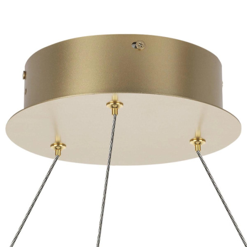 Подвесная светодиодная люстра Lightstar Rotonda 736333 Подвесная светодиодная люстра Lightstar Rotonda 736333