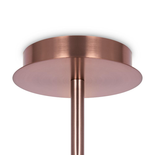 Потолочная люстра Maytoni Erich MOD221PL-10G