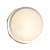 Настенно-потолочный светильник Odeon Light Rima 4680/18CL