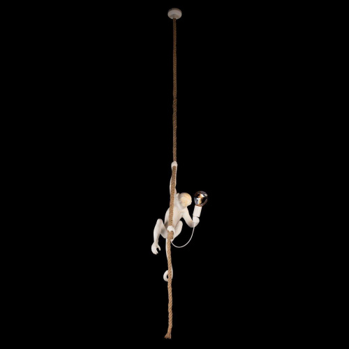 Подвесной светильник Loft IT Monkey 10314P Подвесной светильник Loft IT Monkey 10314P