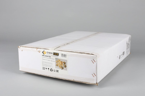 Настенный светильник Omnilux Bellona OML-85501-05