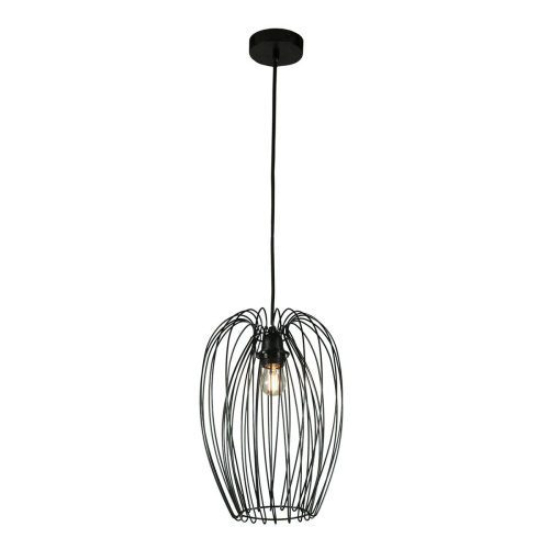 Подвесной светильник Loft IT Deseno 10031 Black