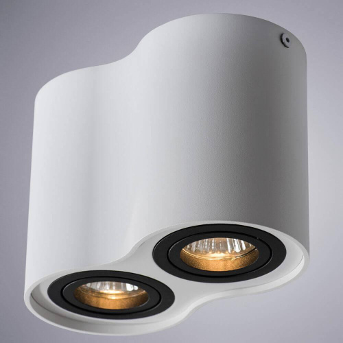 Потолочный светильник Arte Lamp A5644PL-2WH Потолочный светильник Arte Lamp A5644PL-2WH