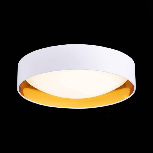 Потолочный светодиодный светильник Evoluce Orbio SLE201122-01