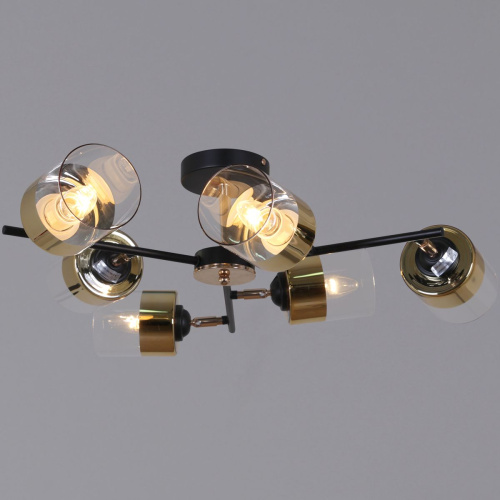 Потолочная люстра Reluce 11555-0.3-06 BK+FGD