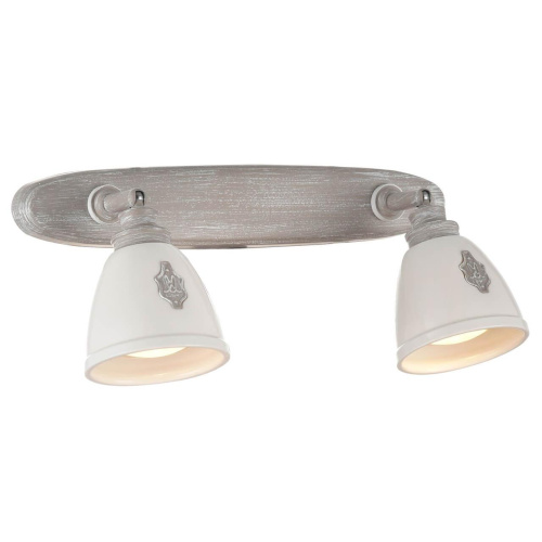 Спот Maytoni Agnes SP289-CW-02-BG