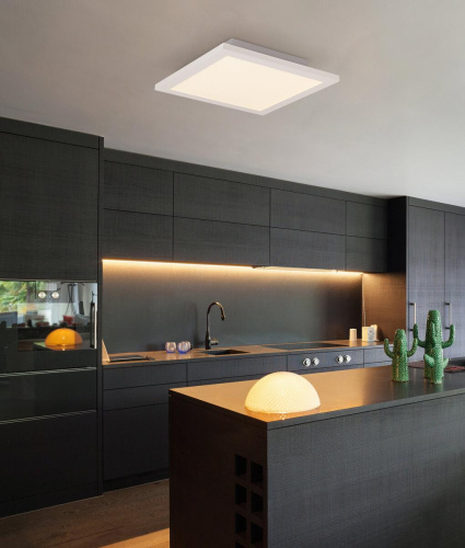 Потолочный светодиодный светильник Globo Rosi 41604D2F Потолочный светодиодный светильник Globo Rosi 41604D2F