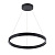 Подвесной светодиодный светильник Arte Lamp Lao A2189LM-1BK