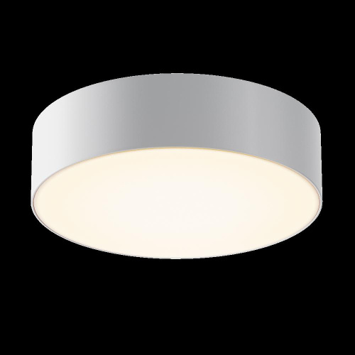 Потолочный светильник Outdoor O431CL-L30W3K