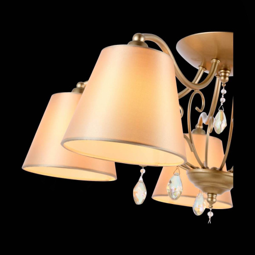 Потолочная люстра Evoluce Rimonio SL1135.102.05