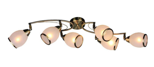 Спот  Omnilux OML-35127-06