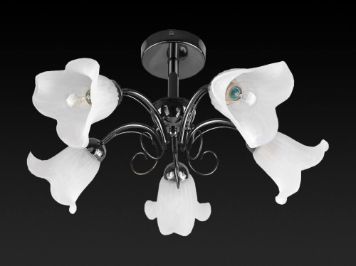 Потолочная люстра Toplight Magdalene TL3490X-05BC