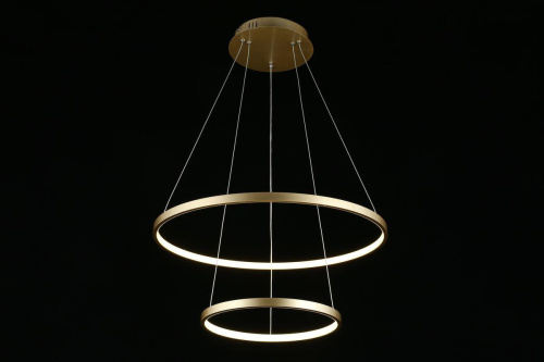 Подвесной светодиодный светильник Aployt Lunet APL.014.03.60