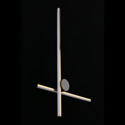 Настенный светодиодный светильник Aployt Beatris APL.056.01.12