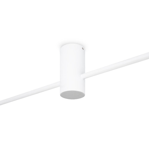 Потолочный светильник Freya FR5363CL-02W1 Потолочный светильник Freya FR5363CL-02W1