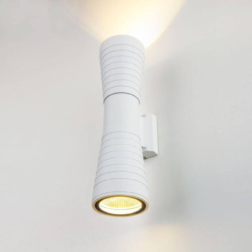 Уличный настенный светодиодный светильник Elektrostandard 1502 Techno LED a044303