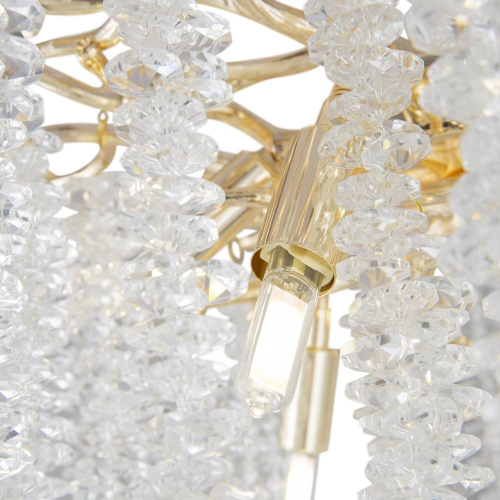 Потолочный светильник Freya FR1010CL-06G