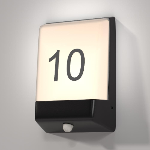 Настенный светильник (бра) Outdoor O448WL-L9GF3KSR Настенный светильник (бра) Outdoor O448WL-L9GF3KSR