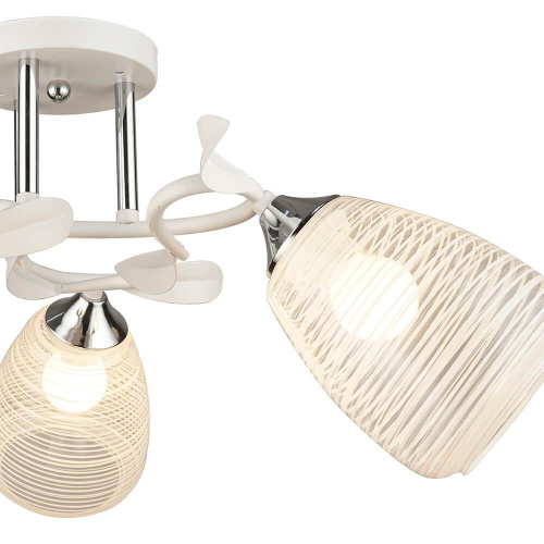 Потолочная люстра Wedo Light Albenga 66423.01.64.03