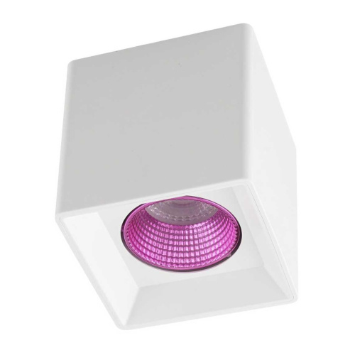 Потолочный светильник Denkirs DK3020WPI DK3080-WH+PI Потолочный светильник Denkirs DK3020WPI DK3080-WH+PI