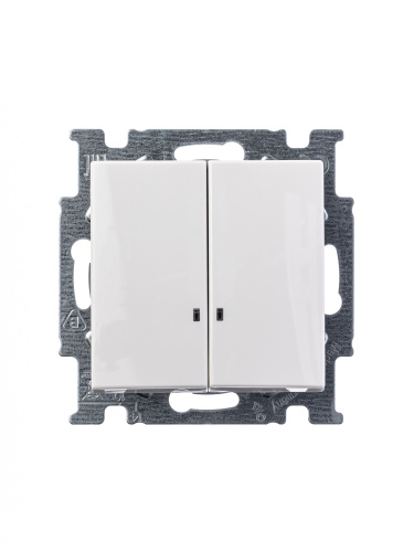 Выключатель двухклавишный ABB Basic55 10A 250V с подсветкой альпийский белый 2CKA001012A2154