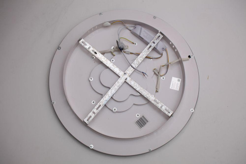 Потолочный светодиодный светильник Escada 10229/S LED