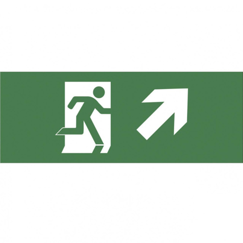 Пиктограмма ЭРА INFO-DBA-008 Б0048460 Пиктограмма ЭРА INFO-DBA-008 Б0048460