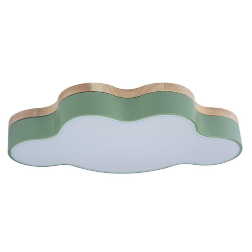 Потолочный светодиодный светильник Loft IT Axel 10005/30 green Потолочный светодиодный светильник Loft IT Axel 10005/30 green