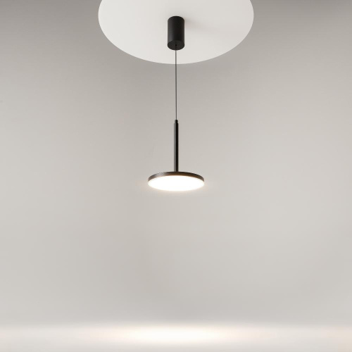 Подвесной светильник Technical P076PL-L12W4K-B Подвесной светильник Technical P076PL-L12W4K-B