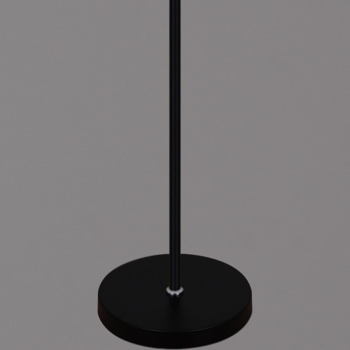 Торшер Reluce 03338-0.6-01 BK