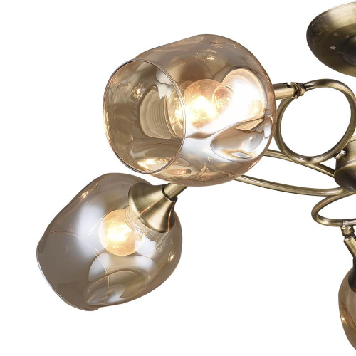 Потолочная люстра Wedo Light Эмма 65921.01.05.05