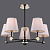 Люстра Illumico IL0394-5CSQ-24 BK AB CASTOR
