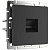 Розетка Werkel Ethernet RJ-45 черный матовый W1181008 4690389156946