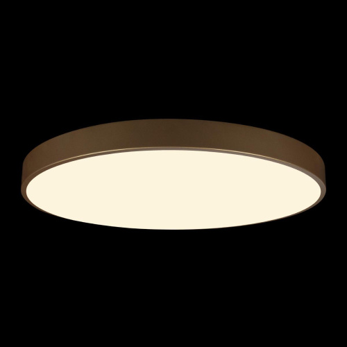 Потолочный светодиодный светильник Loft IT Flims 10228/B Потолочный светодиодный светильник Loft IT Flims 10228/B