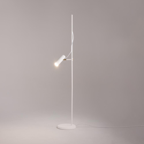 Торшер Maytoni Technical Bansky MOD129FL-01W