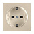 Розетка Werkel с заземлением и шторками шампань WL11-SKGS-01-IP44 4690389124563