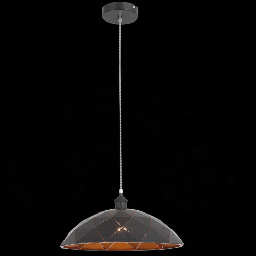 Подвесной светильник ST Luce Enigma SL258.443.01