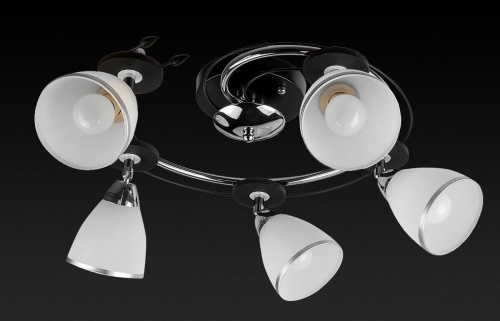 Спот Toplight Sara TL2730X-05BC