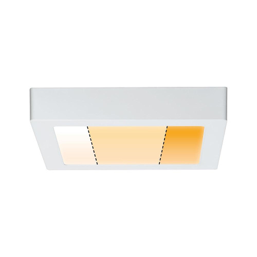 Потолочный светодиодный светильник Paulmann Carpo 79796